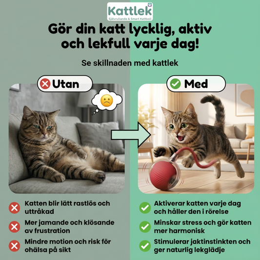 Kattlek – Självrullande & smart kattboll