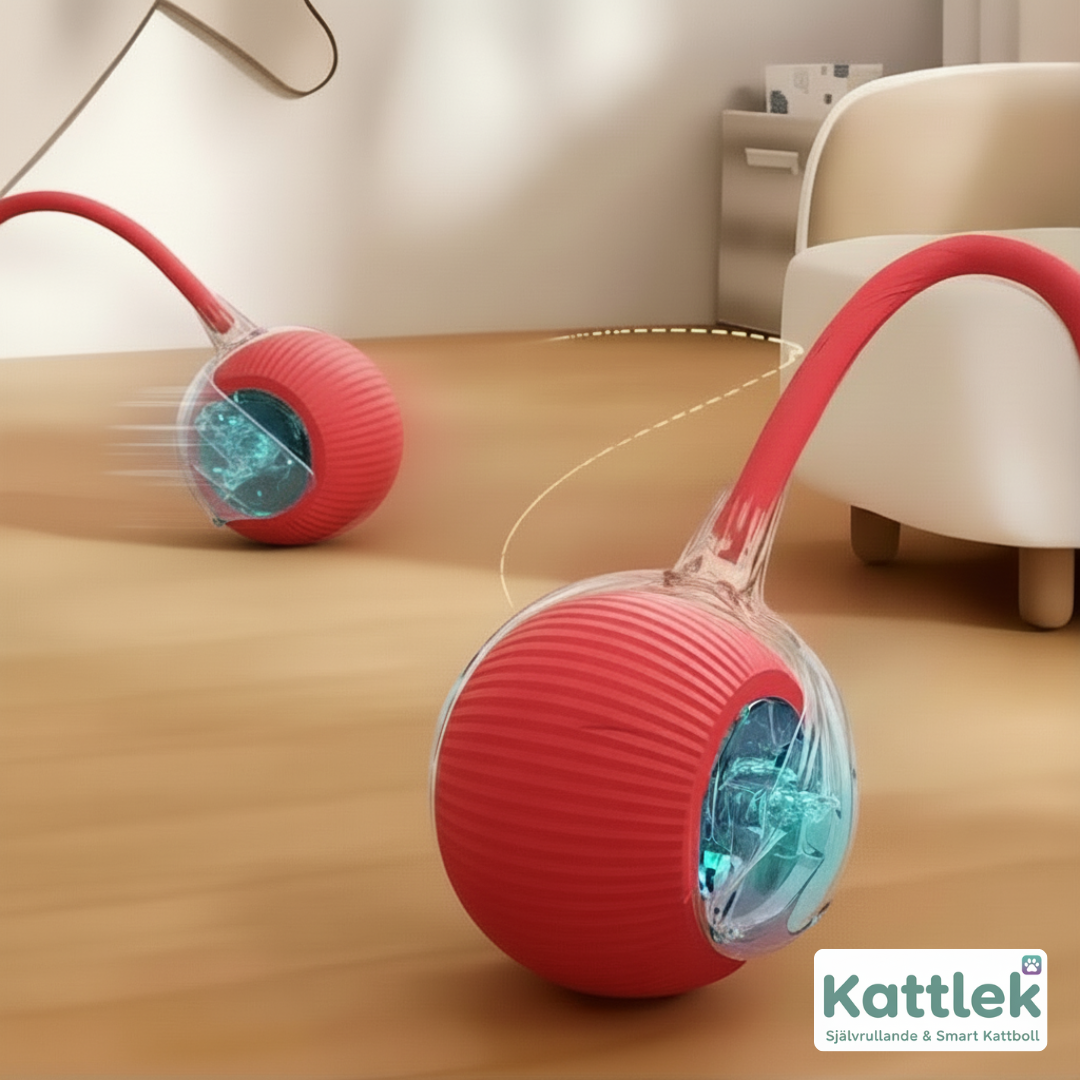 Kattlek – Självrullande & smart kattboll